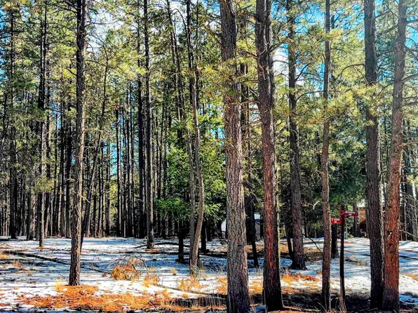 6 Broadmoor Way, Angel Fire, NM 87710