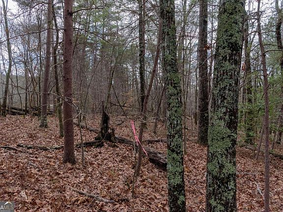 4th image of 1475 Paradise Park Rd