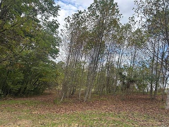 2nd image of 3375 Greenbriar Rd