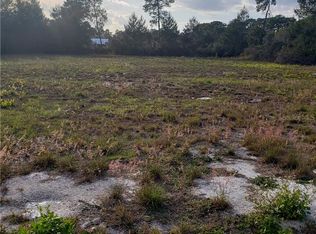 Tbd Old Ml E, Tavares, FL 32778