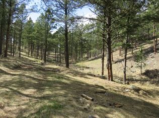 25334 Wind Dance Ranch Rd, Custer, SD 57730