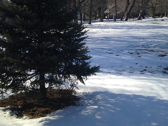 View from the backyard