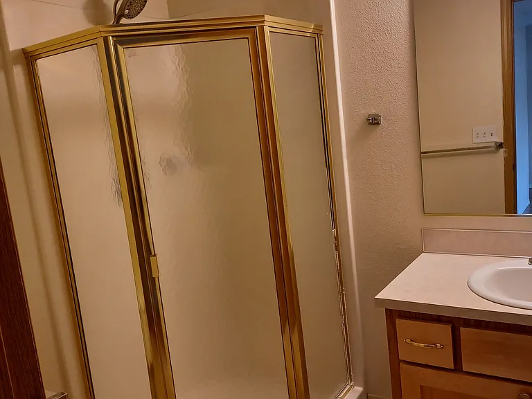 Downstairs bathroom with shower