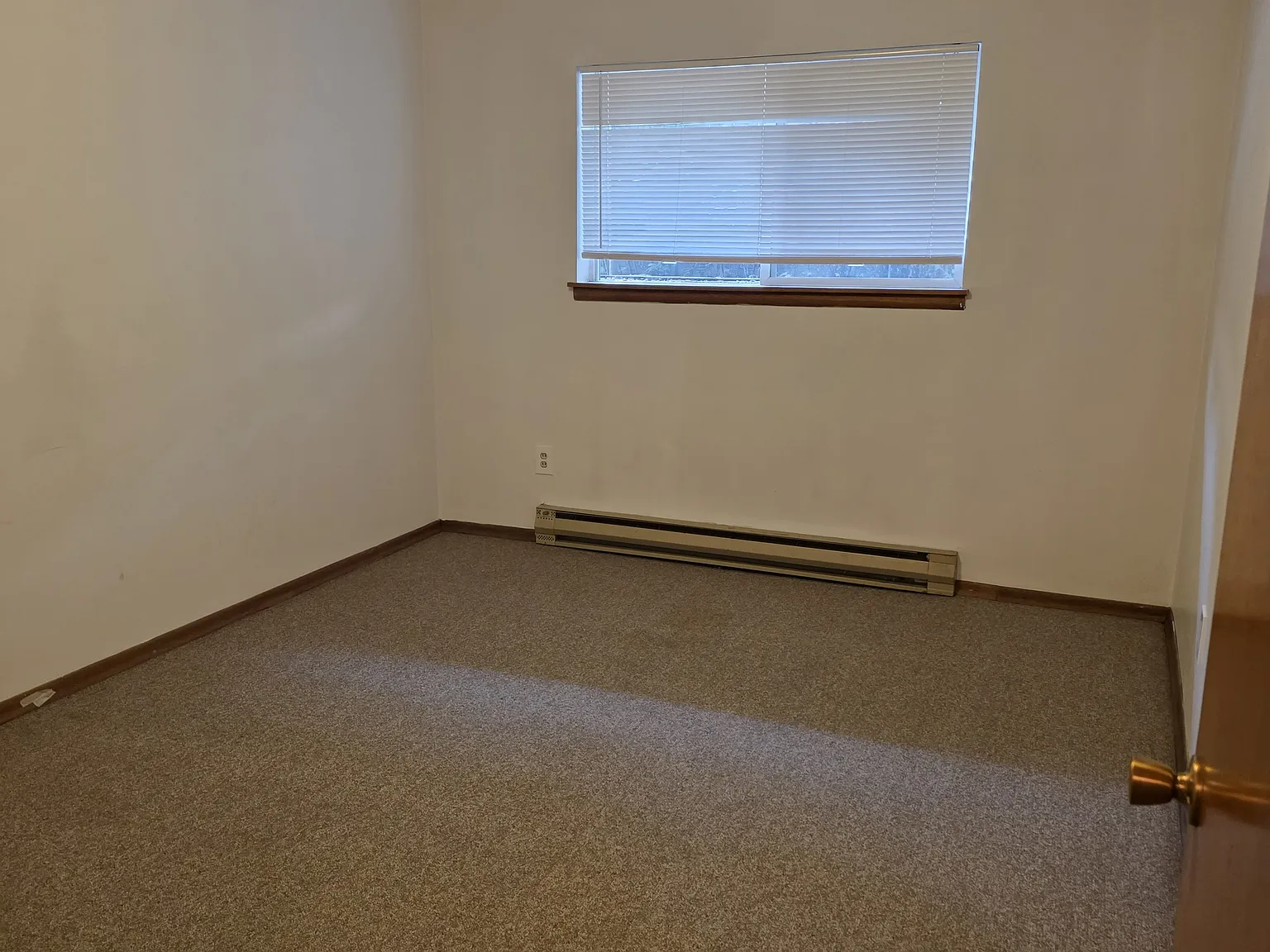 1 bed, $899 — Photo 3