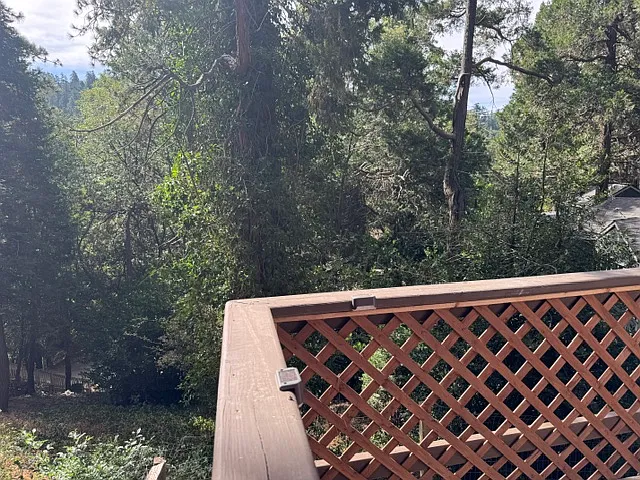 VIEW FROM REAR DECK