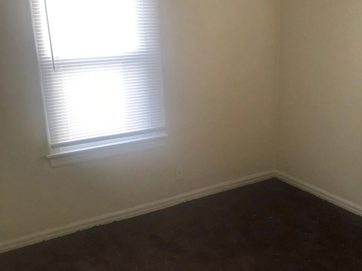 3 bed, 1150 sqft, $1,000 — Photo 3