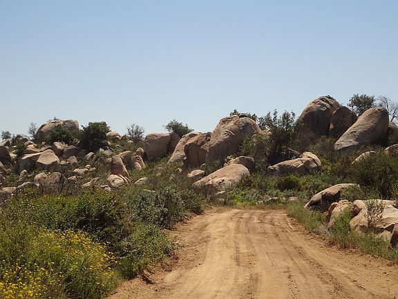 5th image of #16 Camino Alto