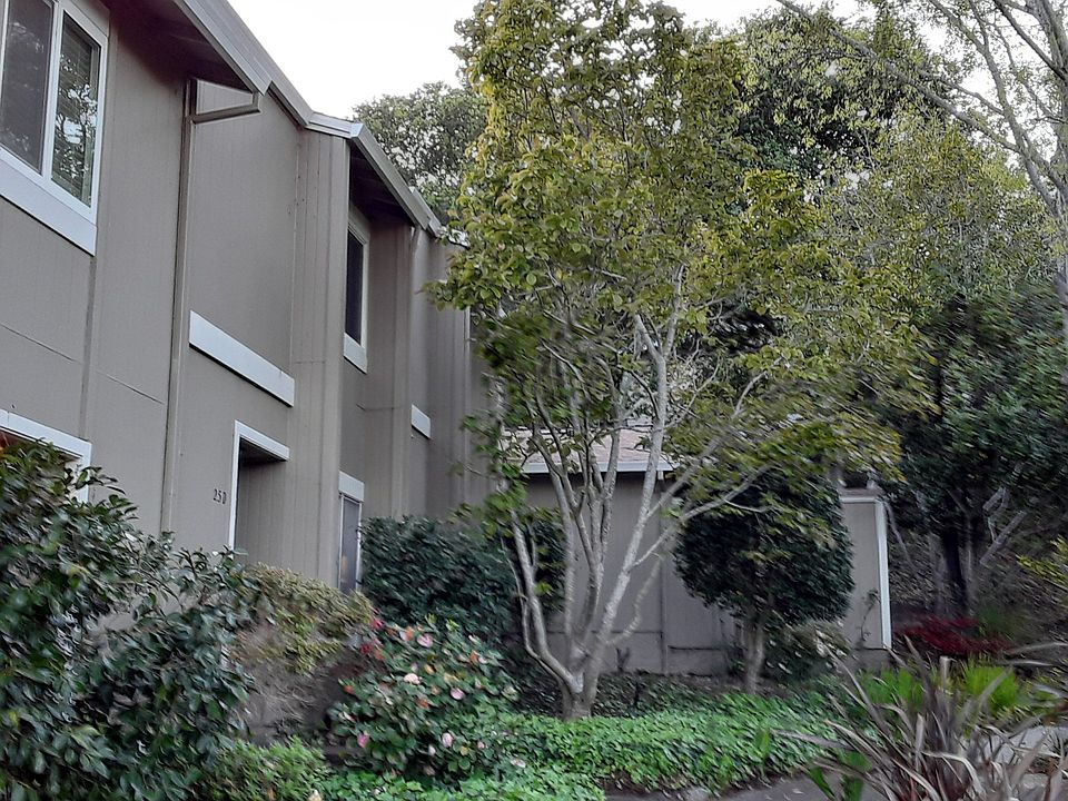 2nd image of 25 Oliva Dr #F