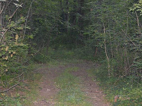 ATV trail
