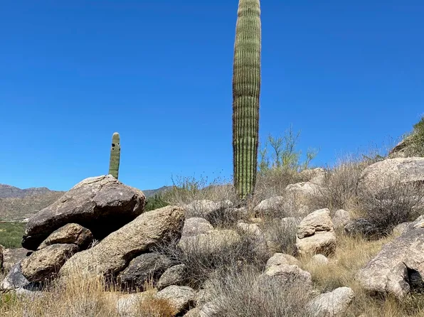 23325 W Gold Dollar Trail #-, Congress, AZ 85332