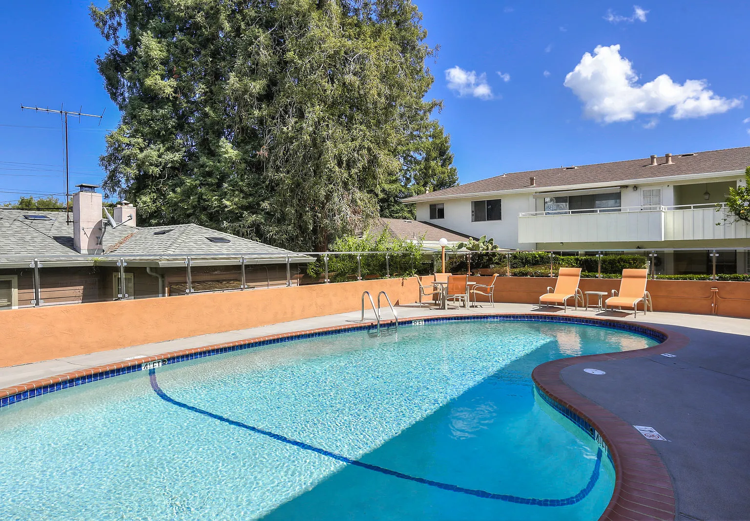 3 bed, 1200 sqft, $6,500 — Photo 3