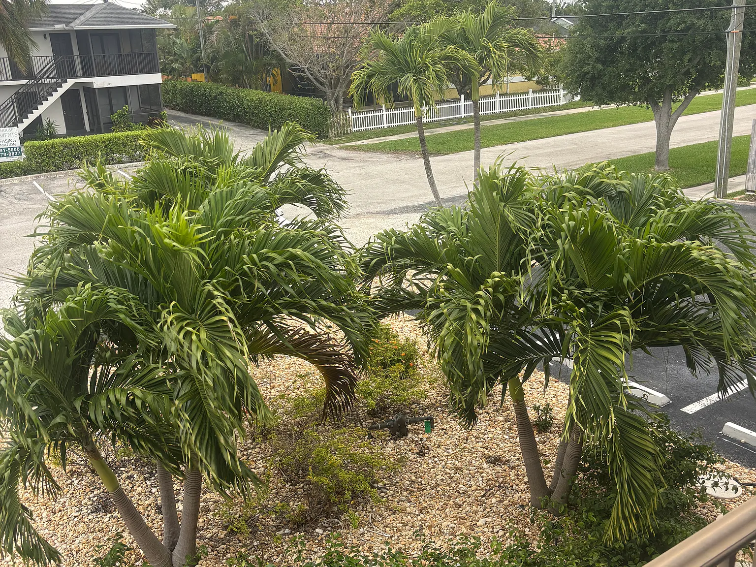 1 bed, 700 sqft, $1,850 — Photo 3