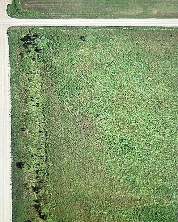 2nd image of 1906 E Jackson Rd