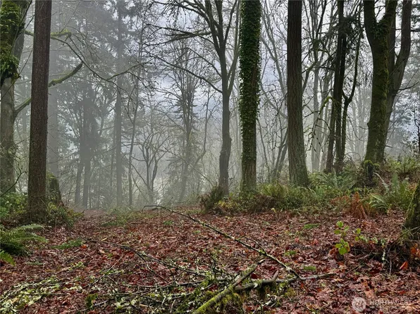 0 Cowlitz View, Longview, WA 98632