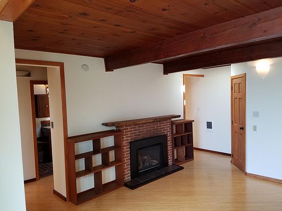 Living room gas fireplace insert