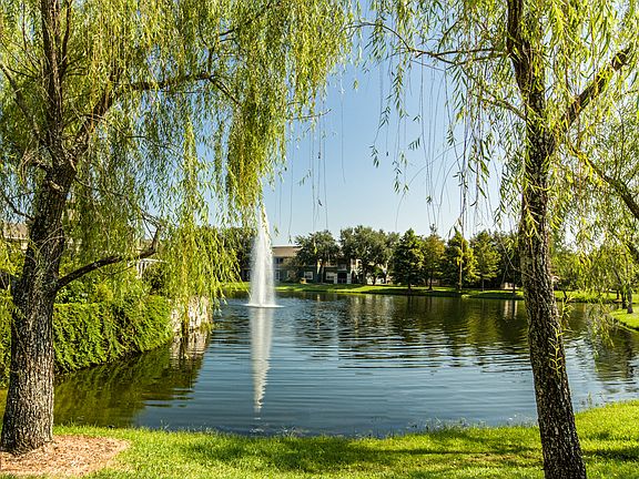 Pond