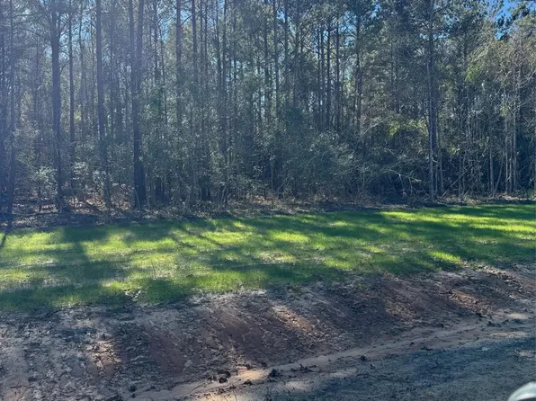 Tbd Horace Bonds Rd, Livingston, TX 77351