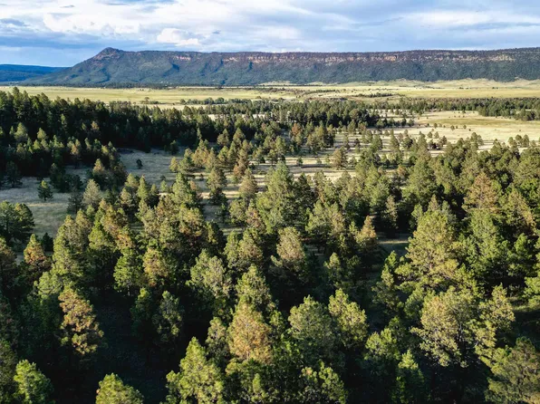 Old Los Hueros Rd, Ocate, NM 87734