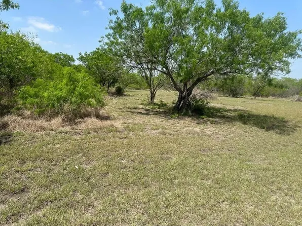 293 County Road 3052, Orange Grove, TX 78372