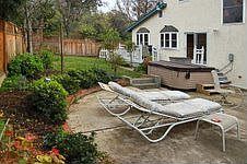 Lots of Green in the Backyard