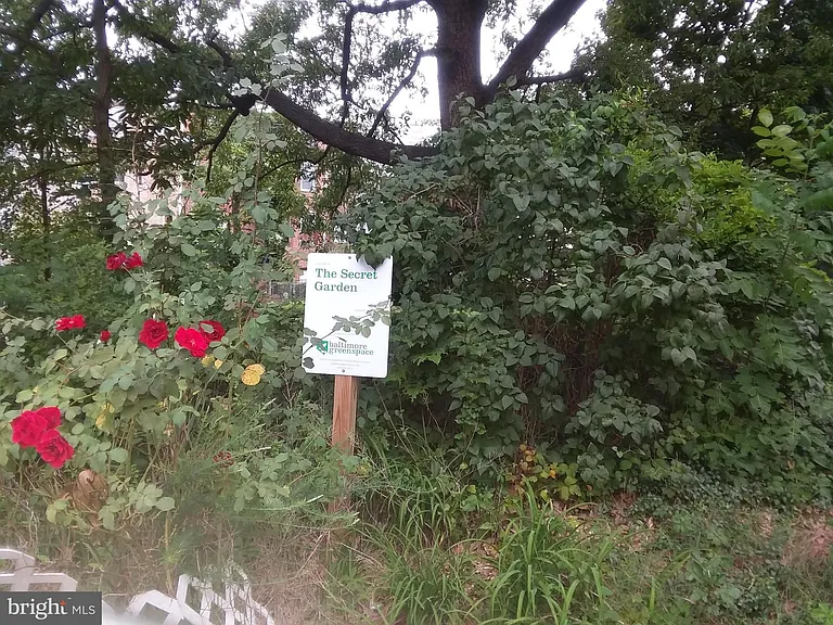 2012 Mount Royal Ter — Photo 44