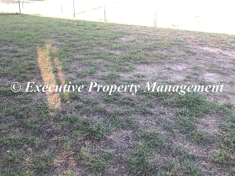 208 Janelle Dr — Photo 18