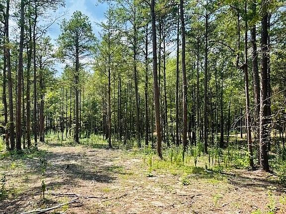 3rd image of County Road 255