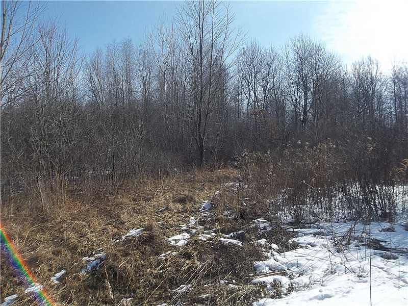 2nd image of Buckeye Dr