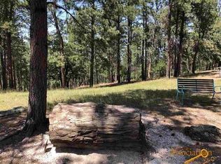 8220 Elk Creek Rd, Piedmont, SD 57769