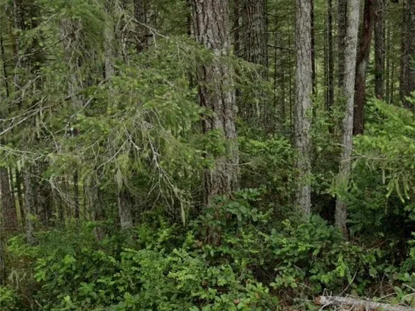 1221 NE Collins Lake Drive, Tahuya, WA 98588