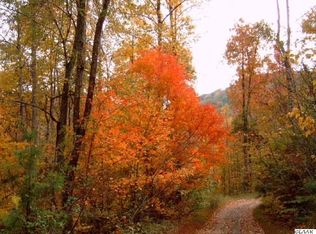 161 Pine Trl, Rogersville, TN 37857