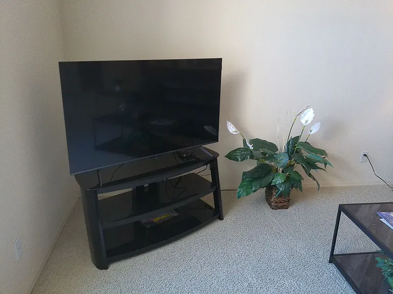 2781 Inca Dr — Photo 5