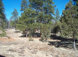 5010 Sunset Ridge Loop, Happy Jack, AZ 86024