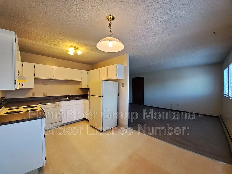 909 Pattee Creek Dr #B — Photo 4