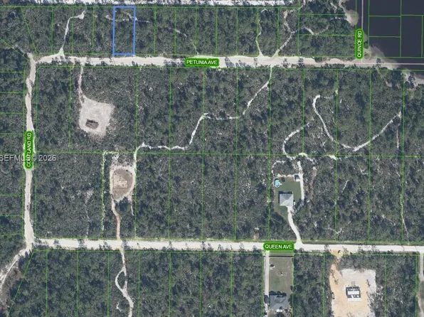 2210 Petunia Ave, Sebring, FL 33875