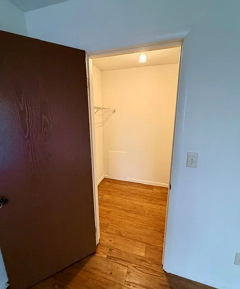 Walk-in closet in second bedroom