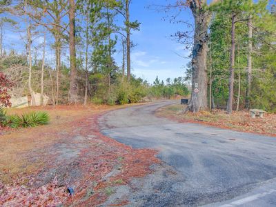 0 Hill Branch Rd, Ridgeville, SC, 29472