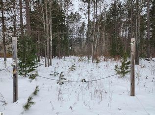 S Seeley Rd, Cadillac, MI 49601