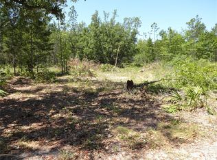 Meadowlark Ln, Palatka, FL 32177