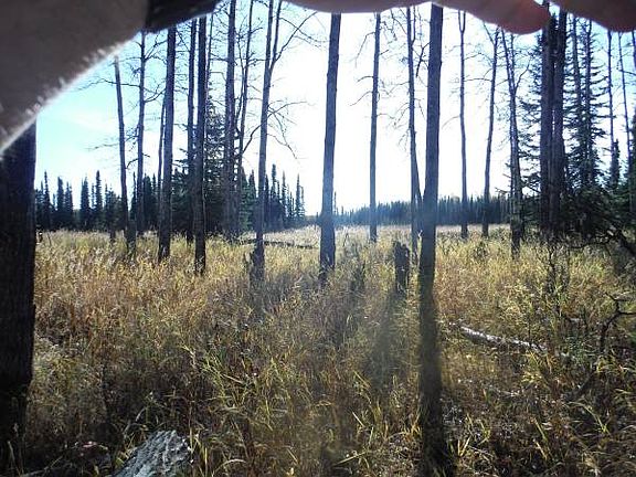 4th image of TOWNSHIP 19N Range 4w Sct 21 Lot B5