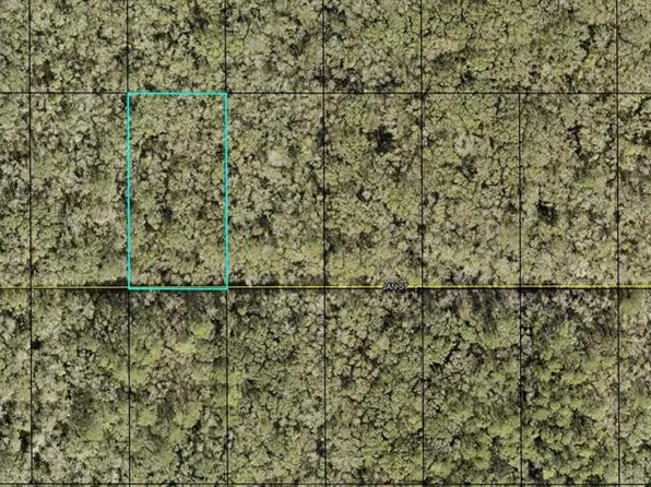 Xx Jan St Lot 9, Hastings, FL 32145
