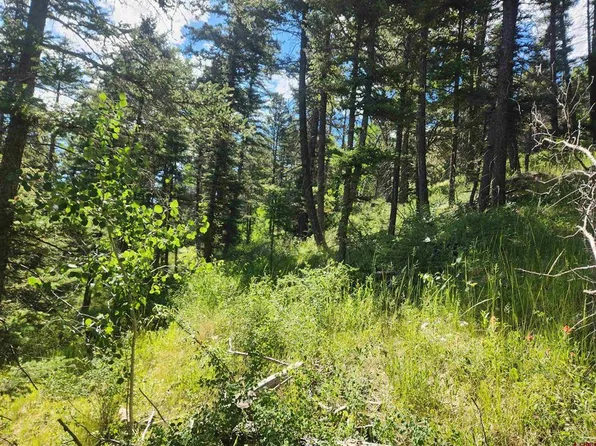 1805 Clarke Mountain Lane, Antonito, CO 81120