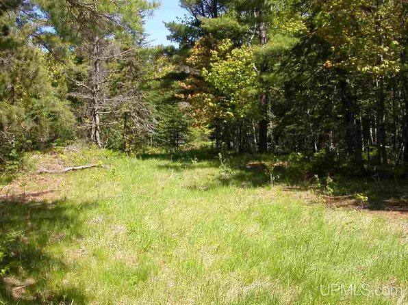 LOT 29 N Eliza Creek Dr, Mohawk, MI 49950