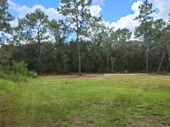 394 N Florene Point, Crystal River, FL 34429