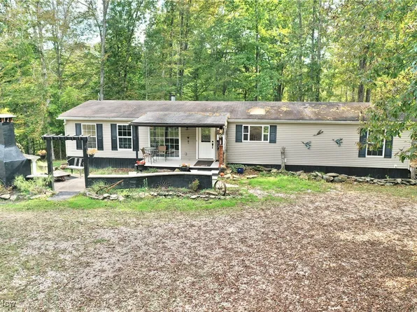 328 Trace Frk, Gandeeville, WV 25243