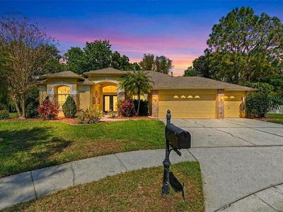8817 Wavyedge Ct, New Port Richey, FL, 34655