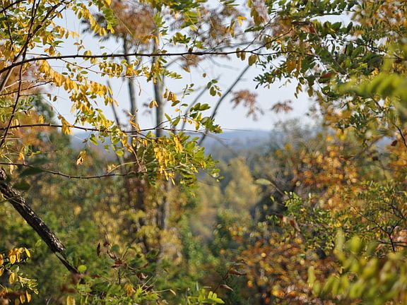 Views
						:
						With minor clearing almost anywhere on the farm has incredible views
