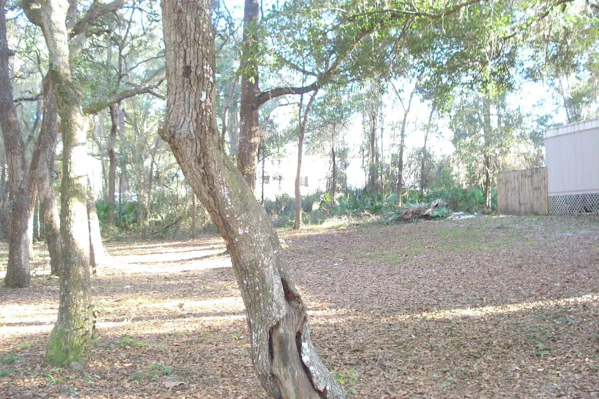 N Palmer Way, Hernando — Photo 2