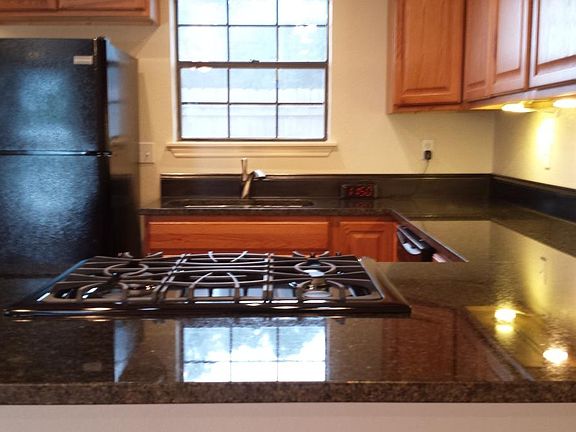 Kitchen appliances included, except no microwave. Granite countertops.
