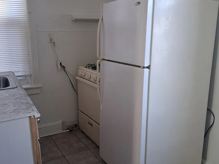 1227 W Westmoreland St #3 — Photo 2